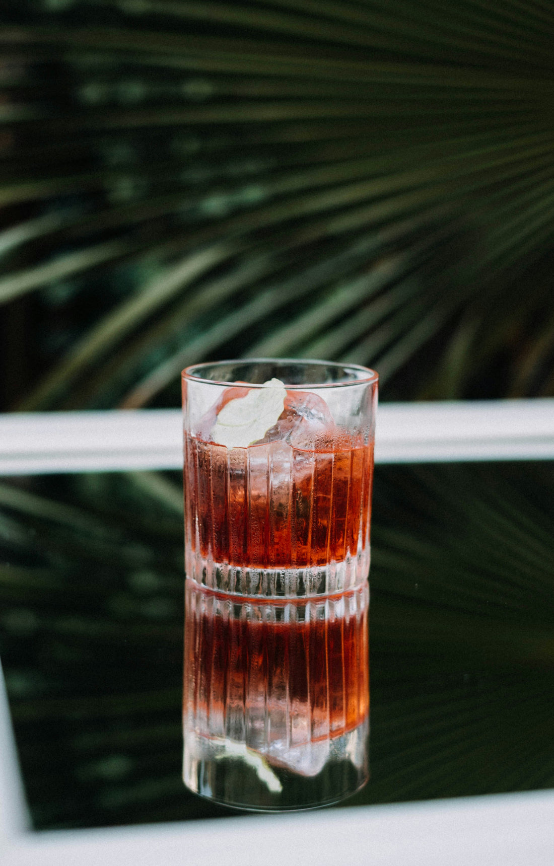 SUMMER SOUR
